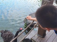 -上海怡沁园度假酒店