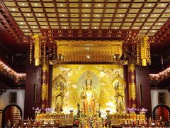 -新加坡佛牙寺龙华院