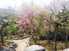iphone_upload_pic-郭守敬纪念馆