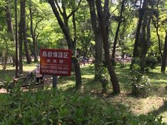 -井之头恩赐公园