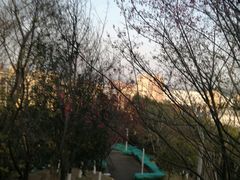 -飞凤山奥体公园