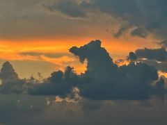 -金海椒罐罐鲢鱼(东方桂苑店)