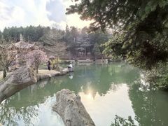 -四明山国家森林公园