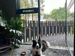 -J Create城市露营咖啡·简餐·宠物(上海动物园店)