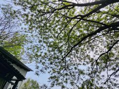 -花间酒庭院餐厅(谷山店)