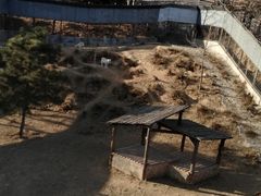 -石家庄市动物园