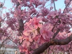 -福建鲤鱼洲酒店