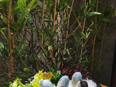 -湊湊火锅·茶憩(东城万达店)