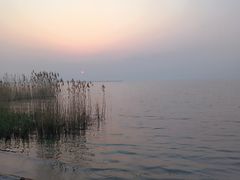 -西京湾花海