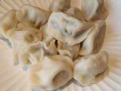 肉三鲜水饺-亦海人家烤鸭店(康定街店)