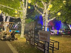 -祥源·阜阳生态乐园