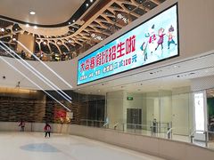 -TheRink大零溜冰场(IFS国金中心店)