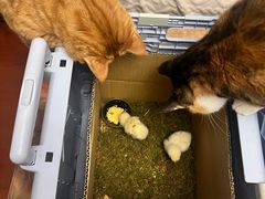 -新荟城(望京店)