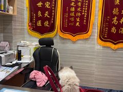 -瑞派名望志远动物医院·猫科·內科·异宠专科(直港大道店)