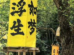 -宁波五龙潭景区