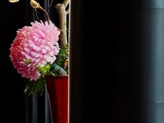 -豫园湖心亭茶楼