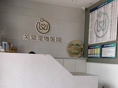 -关爱宠物医院·猫科中心·消化科(滨湖万达分院)