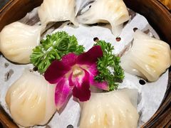 -雾田时尚餐厅(尹山湖歌林公园店)