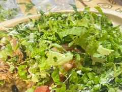 -油梨树AVOCADO TREE(望京店)