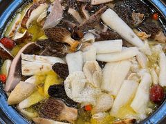 -蘑统田下·野生菌火锅