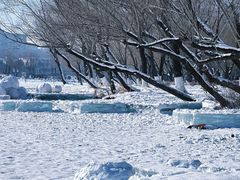 -长春市南湖公园