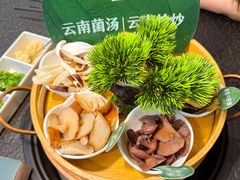 野生美味牛肝菌-一善菌·云南菌汤·云南菜(银泰城店)