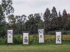 -长兴太湖图影湿地文化园