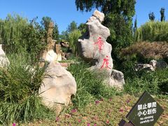 -武清南湖绿博园