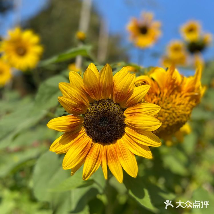 胡导带你游德清 | 布布熊生态农场