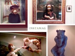 -济州岛泰迪熊博物馆