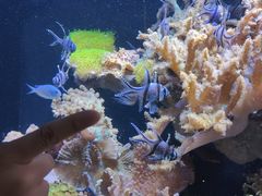-南昌海洋公园