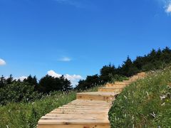 -白草畔自然风景区