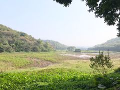 -李小龙乐园(顺德均安店)