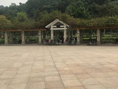 -火炉山森林公园