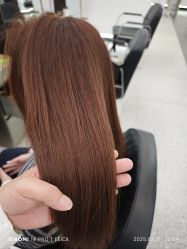 -YESIDO椰岛造型