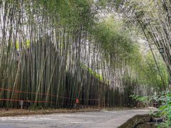 -竹泉村旅游度假区