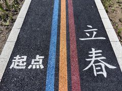-杭州湾海上花田景区