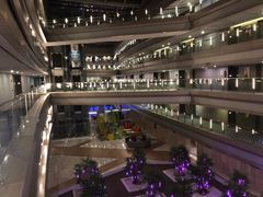 -南京禄口机场雅高铂尔曼大酒店