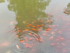 -迎泽公园