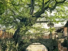 -云水谣景区