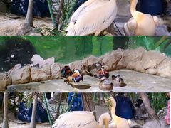 -海合安武汉极地海洋公园