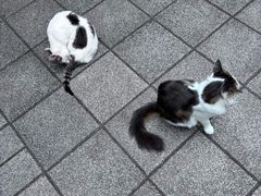 -晓港公园