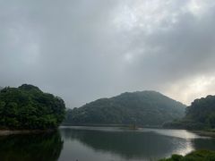 -广州市石门国家森林公园