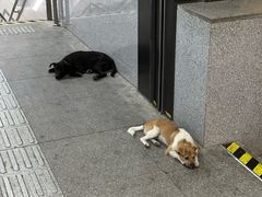 -上海苏航生活广场