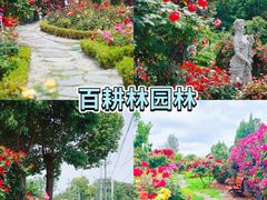 -老鼎万春卤菜(五代传承创始老店)