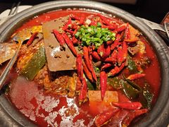 -探鱼·鲜青椒爽麻烤鱼(广州花都来又来店)