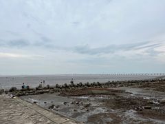 -南汇新城海滩
