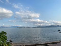 -深圳湾公园(南山区)