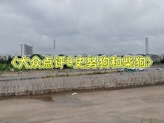-东乡村龙舟训练基地