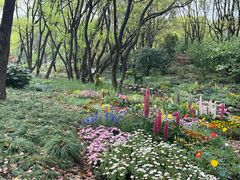 -上海共青森林公园